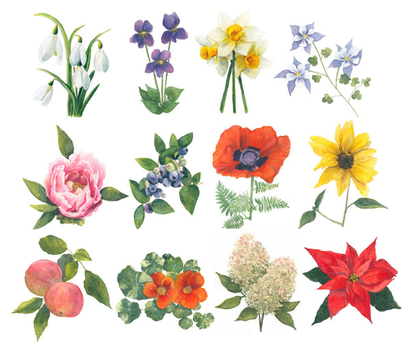 || PREORDER || 2027 botanical 5x7 desk calendar