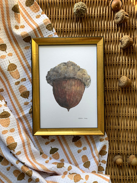 acorn botanical art print