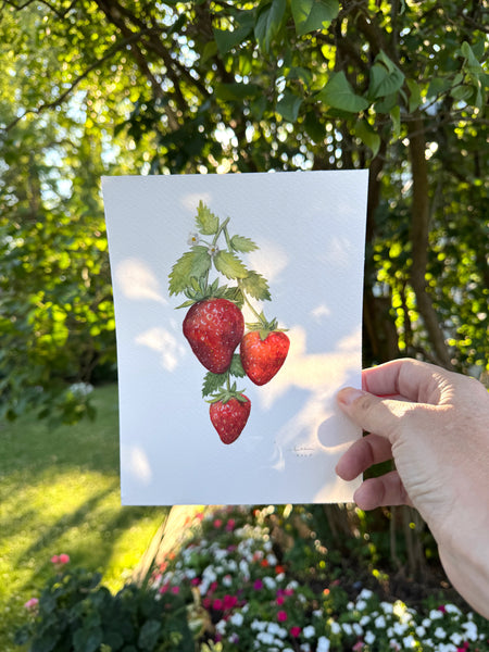 strawberries on vine botanical study || original painting