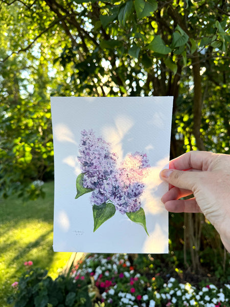 lilacs botanical study || original painting