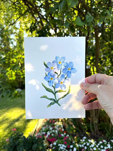 forget me not  botanical study || original painting