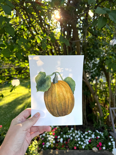 orange pumpkin on the vine || original painting