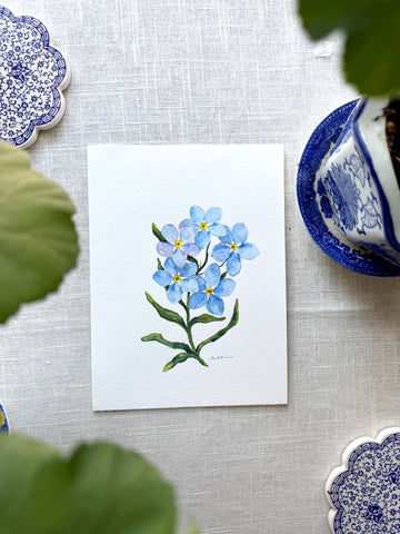 forget me not  botanical study || original painting