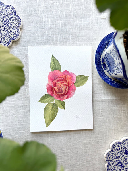 climber rose botanical study || original painting