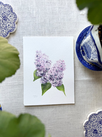 lilacs botanical study || original painting