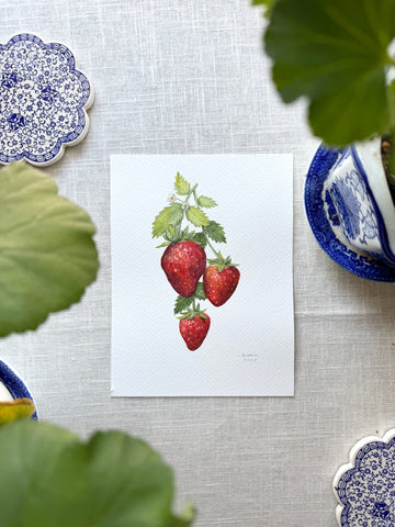 strawberries on vine botanical study || original painting