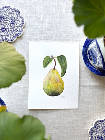 pear on stem botanical study no. 1 || original painting