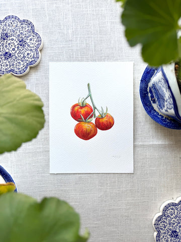 tomato trio botanical study || original painting