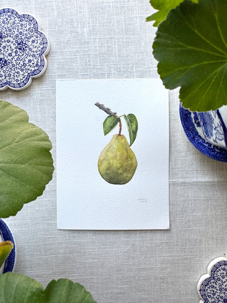 pear on stem botanical study no. 2 || original painting