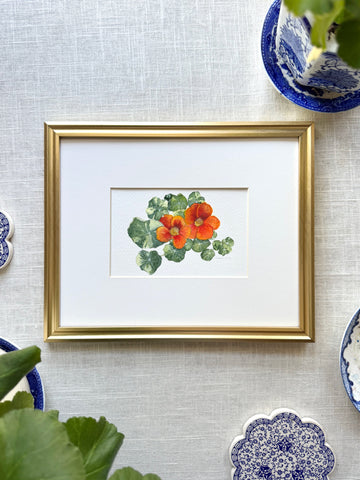 nasturtium botanical study || original painting