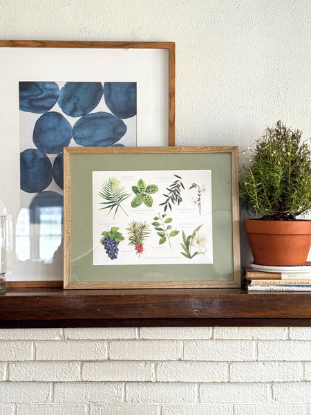 a natural study of holy week || botanical art print