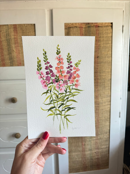 snapdragons original watercolor painting