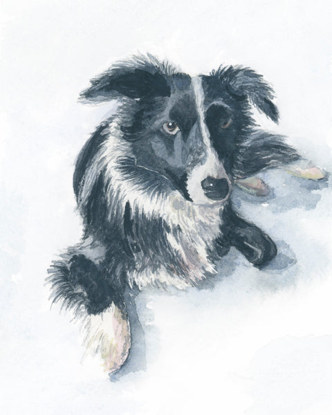 house portraits & commissions