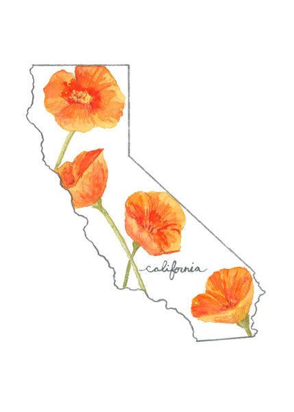 california poppy ||  state flower art print