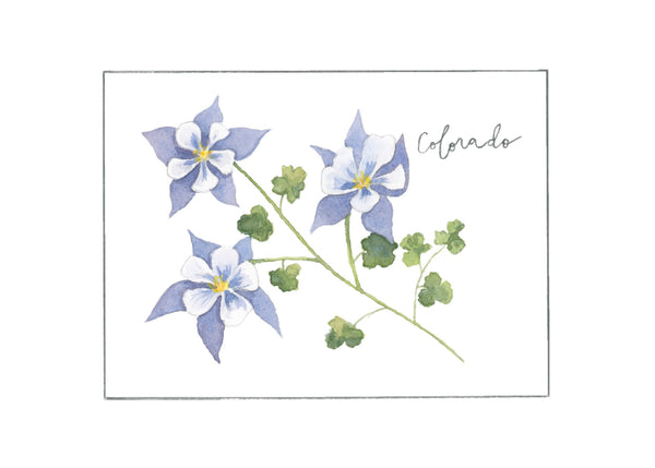 colorado columbine ||  state flower art print