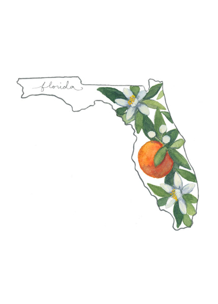 florida orange blossom ||  state flower art print