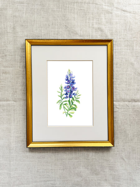 bluebell || botanical art print