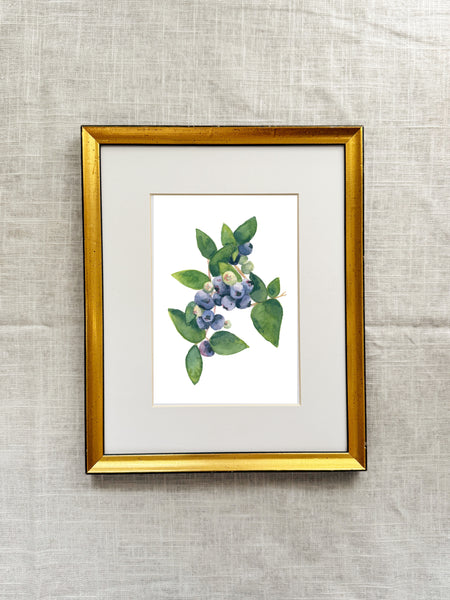 blueberries || botanical art print