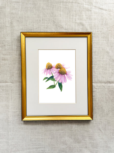 purple coneflower || botanical art print