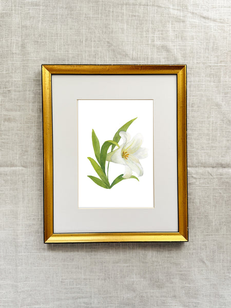 easter lily || botanical art print