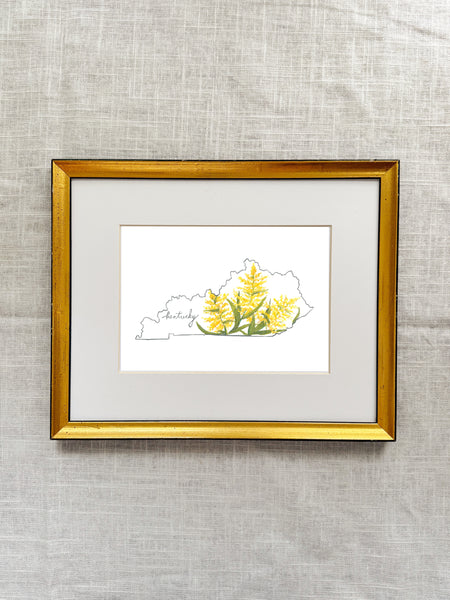 kentucky goldenrod ||  state flower art print