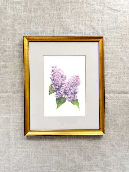 purple lilacs || botanical art print