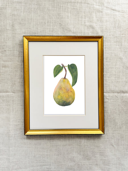 pear || botanical art print