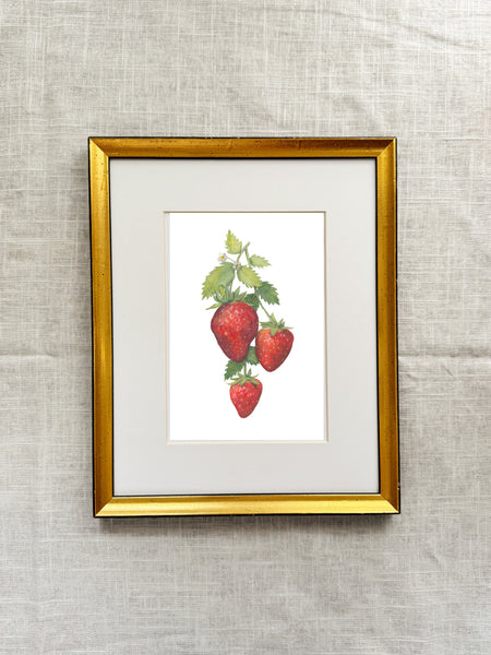 strawberries || botanical art print