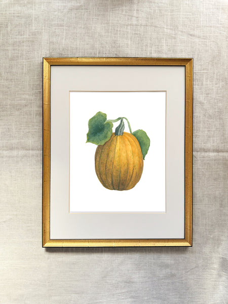 garden pumpkin on the vine || art print