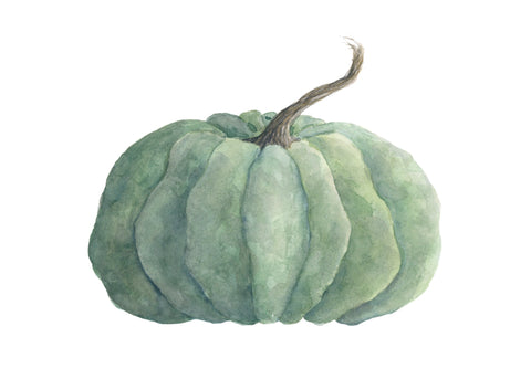 green pumpkin study || art print