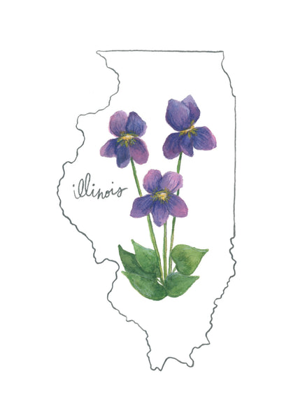 illinois purple violet ||  state flower art print