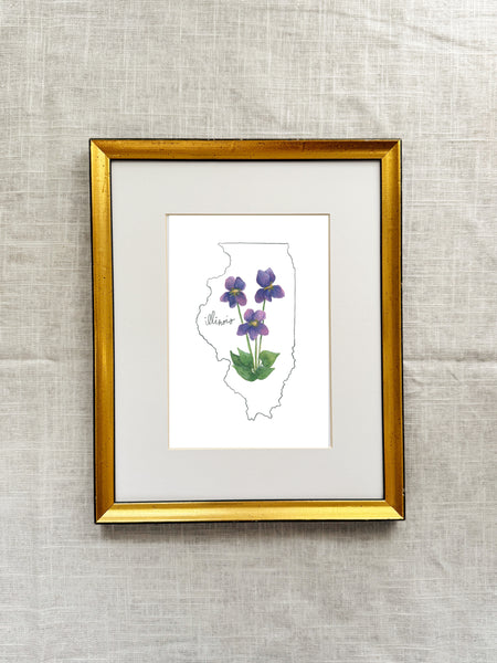 illinois purple violet ||  state flower art print