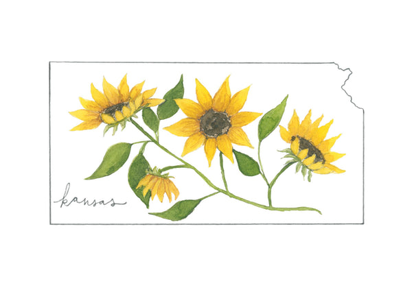 kansas sunflower ||  state flower art print