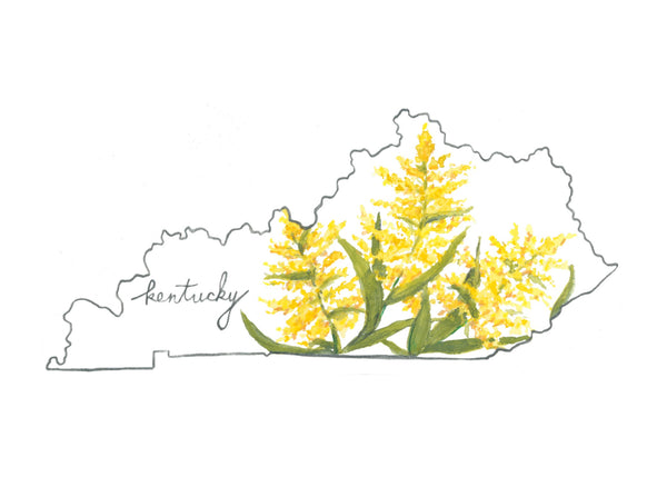 kentucky goldenrod ||  state flower art print