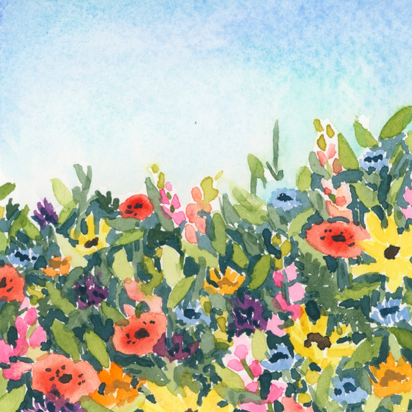 late summer bounty || art print