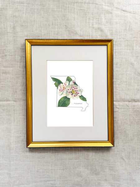 missouri hawthorn ||  state flower art print