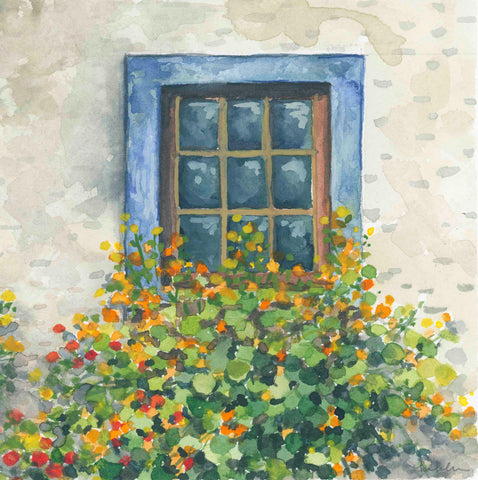 nasturtium window box  || art print
