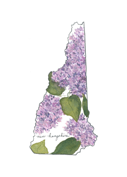new hampshire purple lilac ||  state flower art print