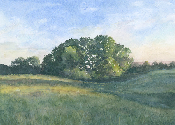 oak tree meadow ||  art print
