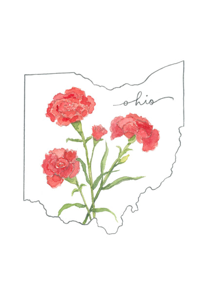 ohio scarlet carnation ||  state flower art print