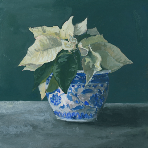 poinsettias still life || art print