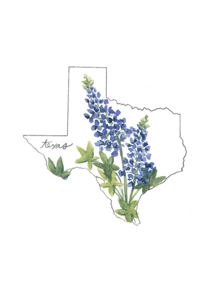 texas bluebonnet ||  state flower art print