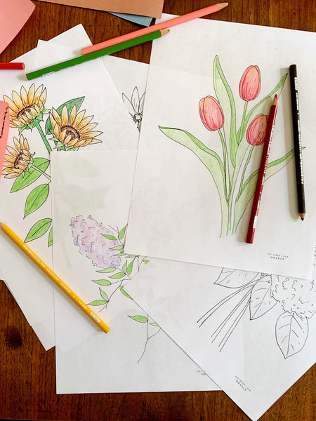 botanical flower coloring pages || 8 page printable download