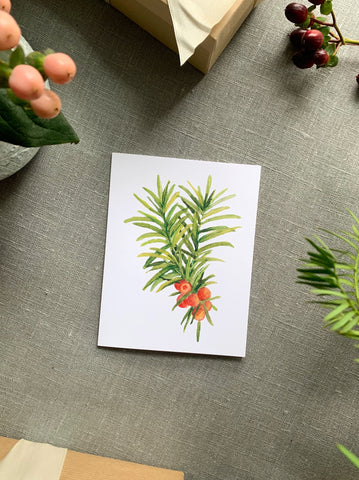 yew branch with berries card set