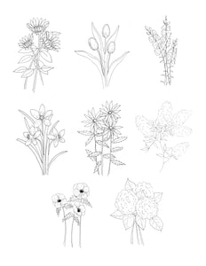 botanical flower coloring pages || 8 page printable download